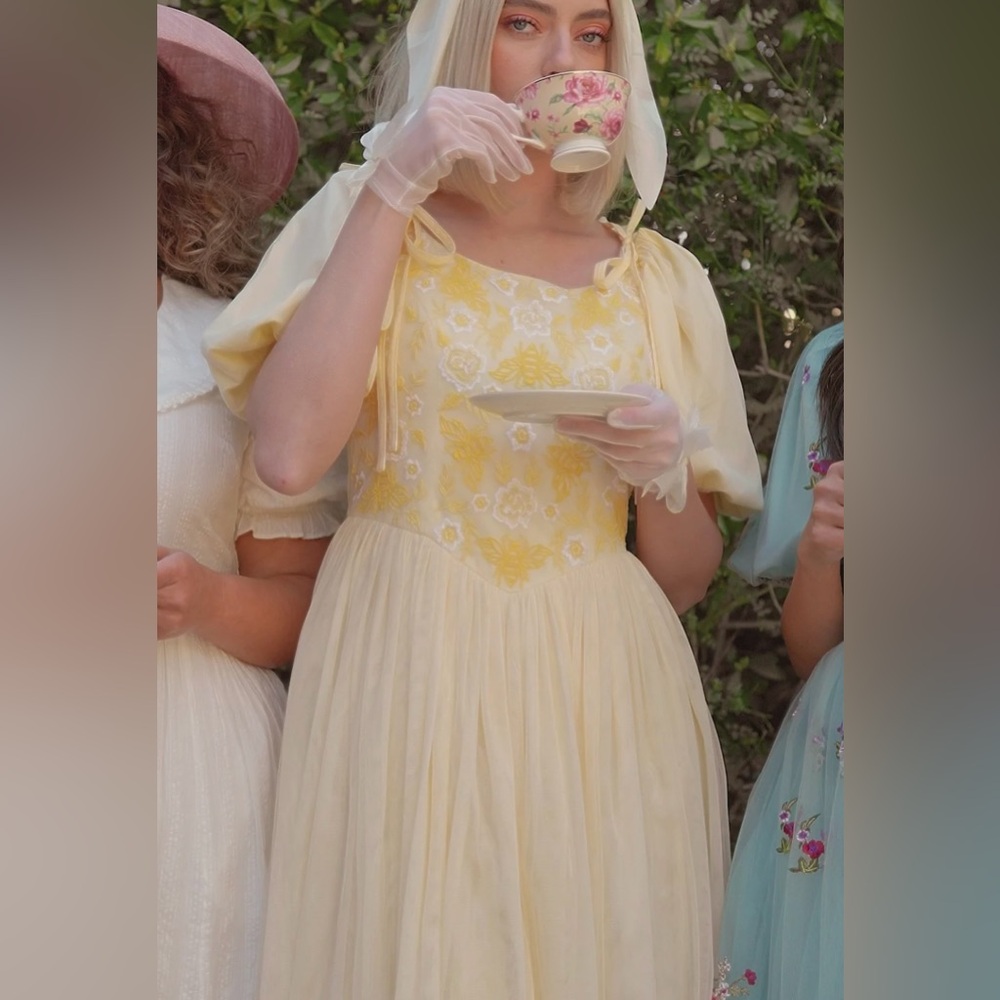 Plus Size JessaKae Honey Bee Dress